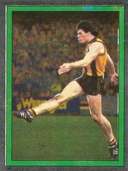 1984 Scanlens VFL Stickers #94 Gary Ayres Front